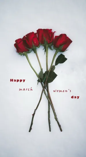 妇女节女王节玫瑰图片