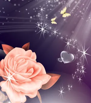 粉色玫瑰花图片素材