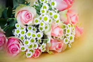 高清玫瑰花束图片