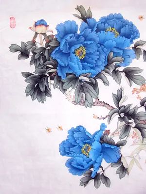 蓝牡丹高清图片_1