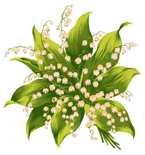 铃兰花图片第1张