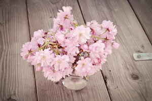 粉色樱花插花图片第1张