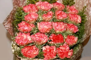妇女节康乃馨花束图片_1