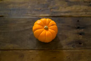 一个南瓜特写图片第张