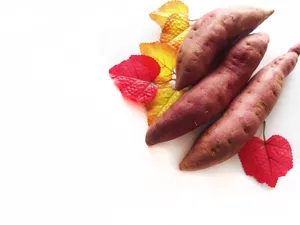 新鲜的红薯图片第张