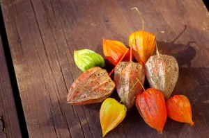 地面樱桃高清图片第张