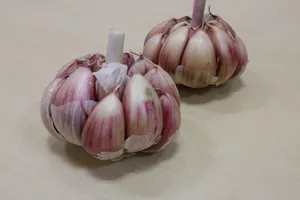 大蒜高清图片第张