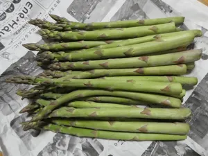 幼嫩的芦笋图片第张