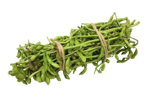 蔬菜毛豆图片第张