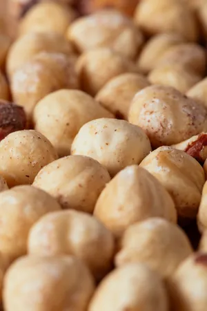 坚果之王榛子高清图片第张