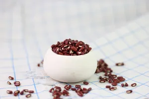 赤小豆图片第张