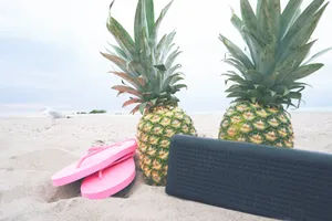 菠萝的特写图片第张