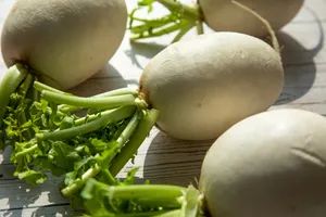 白萝卜图片第张