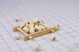 烘干的莲子图片第张