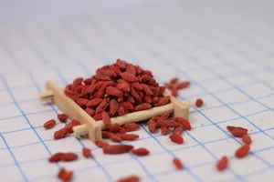 枸杞干图片第张