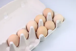 新鲜的草鸡蛋图片第张