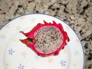 切片的火龙果图片第张