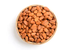 补充营养延年益寿的松子图片第张