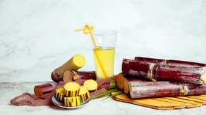 新鲜的甘蔗图片第张