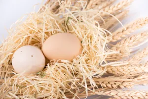 新鲜的生鸡蛋图片第张