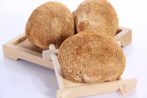 营养美味的名贵猴头菇图片第张