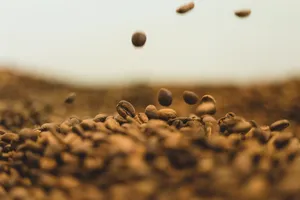 一堆咖啡豆的图片第张