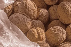 营养丰富的核桃图片第张