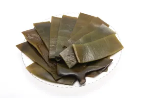 新鲜又营养适合各种做法的海带图片第张