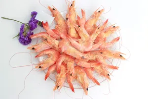 海珍产品对虾图片第张