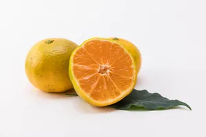 美味的橘子图片第张