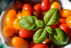 新鲜美味的番茄图片第张