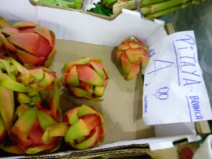 美味可口的火龙果图片第张