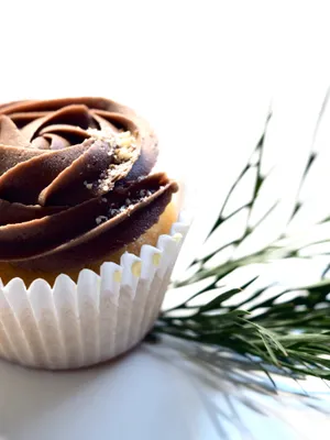 造型可爱的甜点图片第张