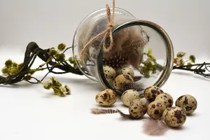 富含营养的鹌鹑蛋图片第张