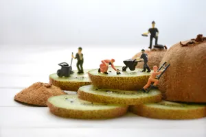 酸甜可口的猕猴桃切片图片第张