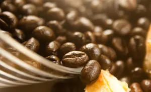 味道浓郁的咖啡豆图片第张