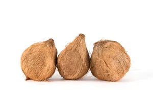 夏日清凉水果饮料椰子图片第张