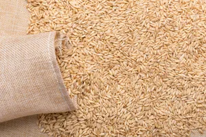 营养健康五谷杂粮燕麦图片第张