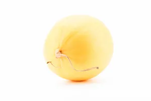 香甜好吃的甜瓜图片第张