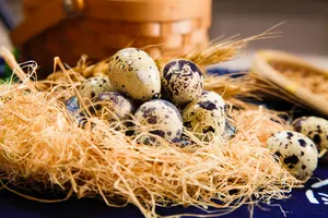 美味营养鹌鹑蛋图片第张