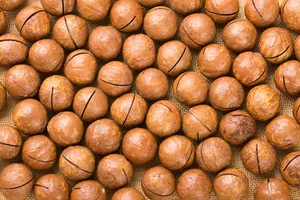 营养美味的夏威夷果图片第张