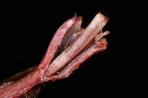 香喷喷的秘制排骨图片第张