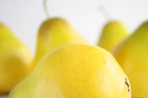 诱人的酸梨图片第张