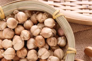 味道清香的香菜籽图片第张