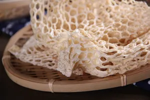 营养真菌竹荪图片第张