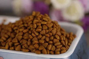 狗狗的美味食物狗粮图片第张