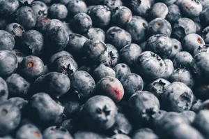 营养丰富的黑莓水果图片第张