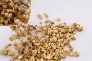 野生营养黄菇图片第张