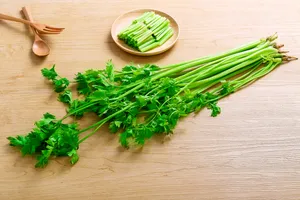 绿色有机芹菜图片第张