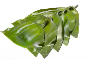 绿色鲜嫩的海带图片第张